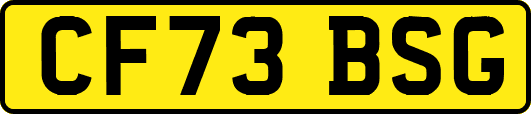 CF73BSG