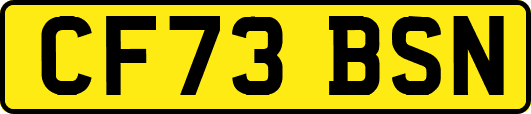CF73BSN