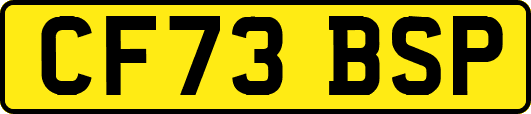 CF73BSP