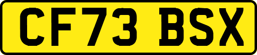 CF73BSX