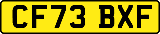 CF73BXF