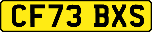 CF73BXS