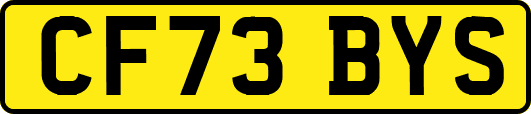 CF73BYS