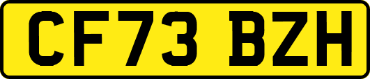 CF73BZH