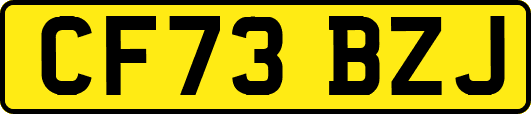 CF73BZJ