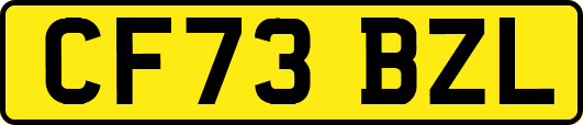 CF73BZL