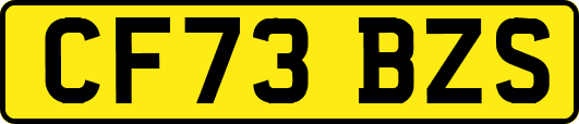 CF73BZS