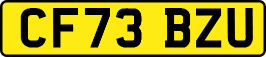 CF73BZU