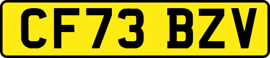 CF73BZV