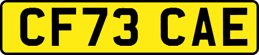 CF73CAE