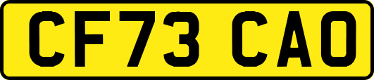 CF73CAO