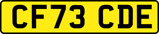 CF73CDE