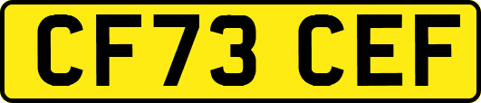 CF73CEF