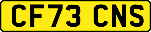 CF73CNS