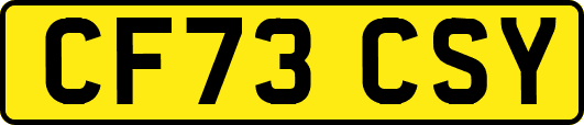 CF73CSY