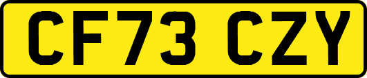 CF73CZY