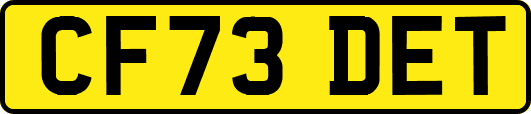 CF73DET