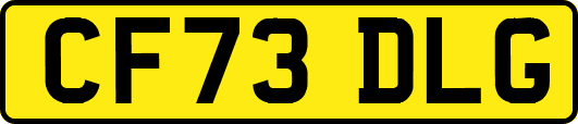 CF73DLG