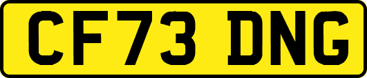 CF73DNG