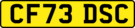 CF73DSC