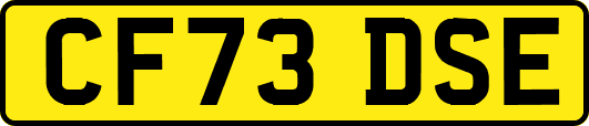 CF73DSE