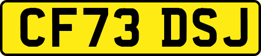 CF73DSJ