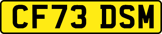 CF73DSM