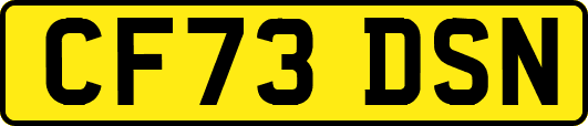 CF73DSN