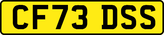 CF73DSS