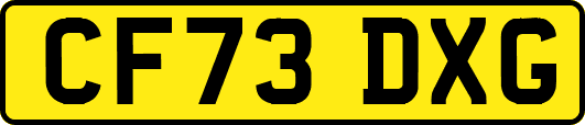 CF73DXG