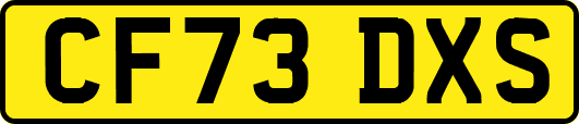 CF73DXS