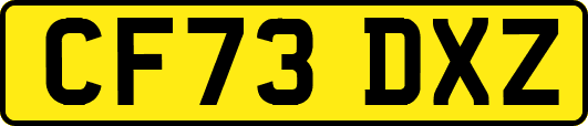 CF73DXZ