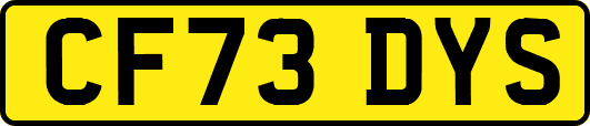 CF73DYS