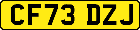 CF73DZJ