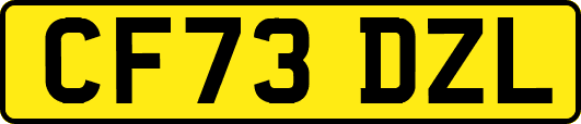 CF73DZL