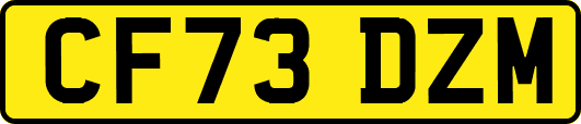 CF73DZM