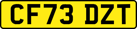 CF73DZT