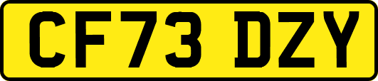 CF73DZY