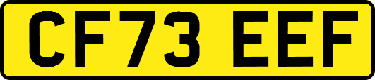 CF73EEF