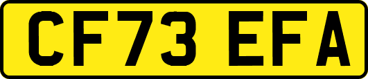 CF73EFA