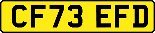 CF73EFD