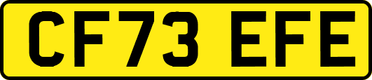 CF73EFE