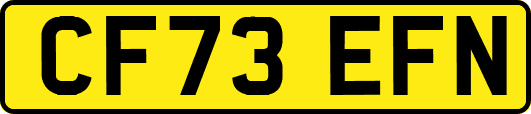 CF73EFN