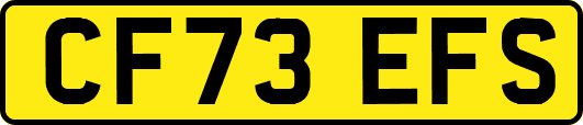 CF73EFS