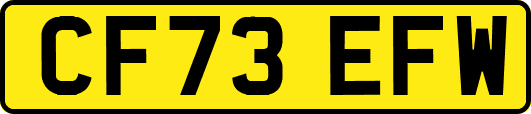 CF73EFW