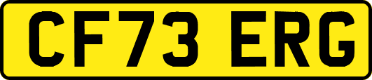 CF73ERG