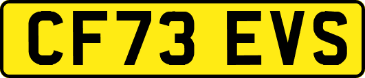 CF73EVS
