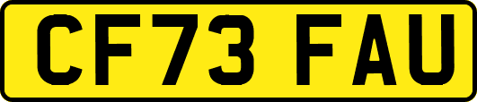 CF73FAU