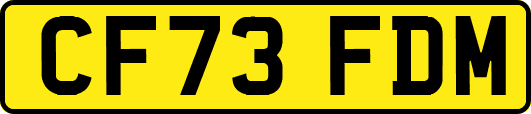 CF73FDM