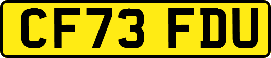 CF73FDU